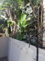 Electric Fence Installation 7