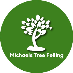 Michael’s Tree Felling