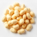 Blanched Peanuts & Ground Nuts Supply