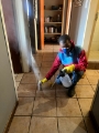 Pest Control