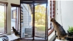Luxury Clear Burglar bars