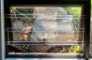 Luxury Livings Burglar bars (1)