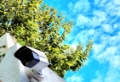 CCTV AND TECH PRODUCT TOP BANNER