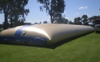 pool bladder