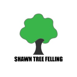 Shawn Tree Felling