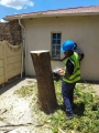 CJ TREE FELLING PTY LTD