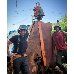 CJ TREE FELLING PTY LTD
