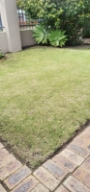 Garden Maintenance