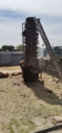 Tree Felling - Tree Removall