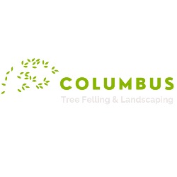 Columbus Tree Felling