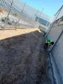 site clearing
