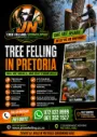 Tree Felling Pretoria