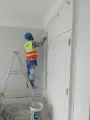Professional Painting Services