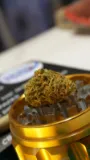 grinder with cannabis bud