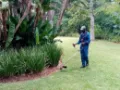 Pic1