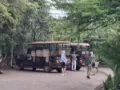 group tour
