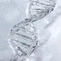 Longevity backed by Science