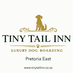 Tiny Tail Inn - Dog Boarding and Daycare - Small Breeds