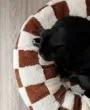 Orthopedic calming lounger