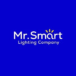 Mr. Smart Lighting Company