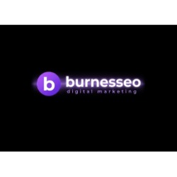 Burnesseo Internet Marketing Service