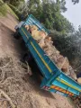 Tree felling
