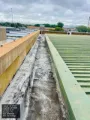 Roof Repairs