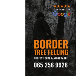 Border Tree Felling