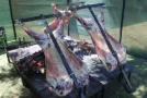 Multiple lambs on the spit Pedros Asado