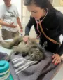 Medical Assistance