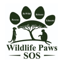 Wildlife Paws SOS - Vervet Monkey Rescue & Wildlife help