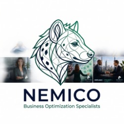 Nemico - Business Optimisation Specialists