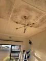 mold-cleaning-services