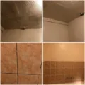 Mold Removal Services