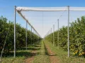 GHQ flat-top net structure