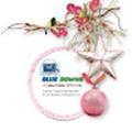 Blue Downs IT Solutions PTY LTD