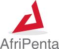 AfriPenta IT Services